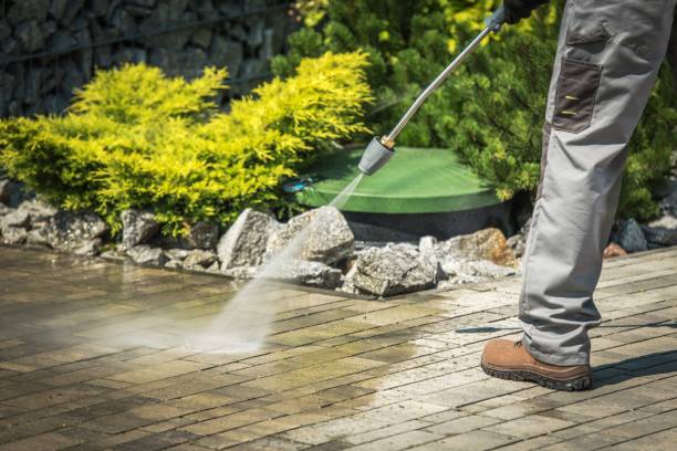 Best Spring Cleaning  in Grenelefe, FL